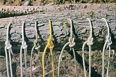 Seven types of rope, from left to right: three-strand nylon, braided nylon, three-strand polypropylene manila imitation, three-strand polypropylene, three-strand manila, three-strand sisal, and three-strand cotton.